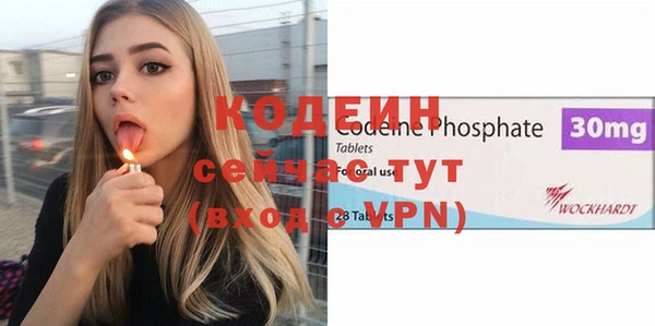 прущие грибы Кулебаки