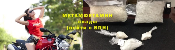 прущие грибы Кулебаки