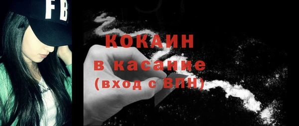 прущие грибы Кулебаки
