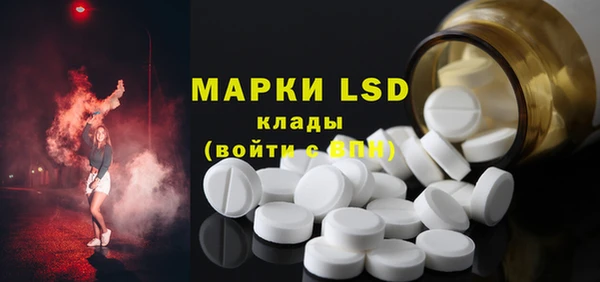 прущие грибы Кулебаки