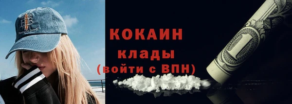 прущие грибы Кулебаки