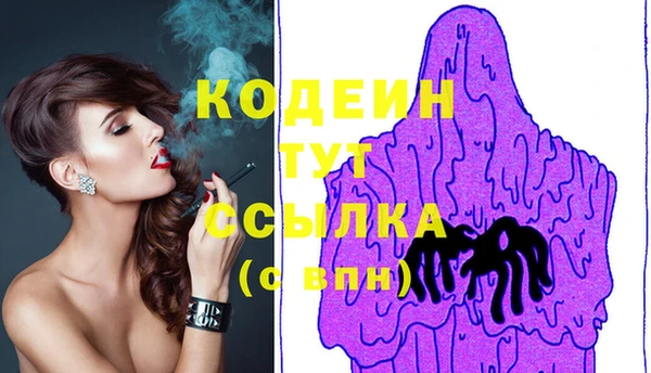 прущие грибы Кулебаки