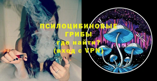 прущие грибы Кулебаки