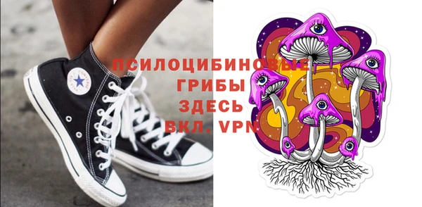 прущие грибы Кулебаки