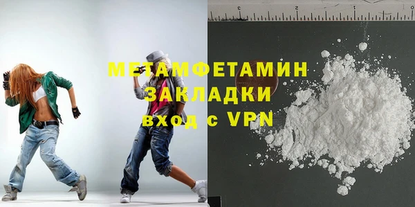 прущие грибы Кулебаки