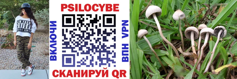 Псилоцибиновые грибы GOLDEN TEACHER  Купить закладки  Разумное 